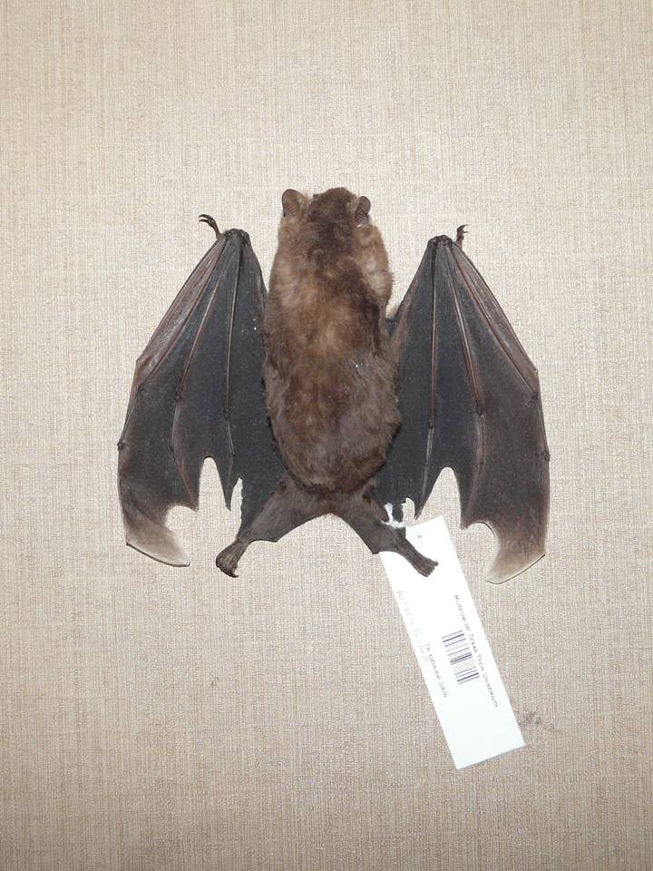 FIGURE 10 FIGURE 10